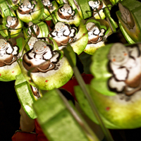 연등행렬 - 연잎등/우리말 한글등/ 목탁등의 행렬