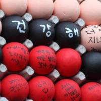 전통문화마당 - 서원지/행복소원/놀이마당/탁본