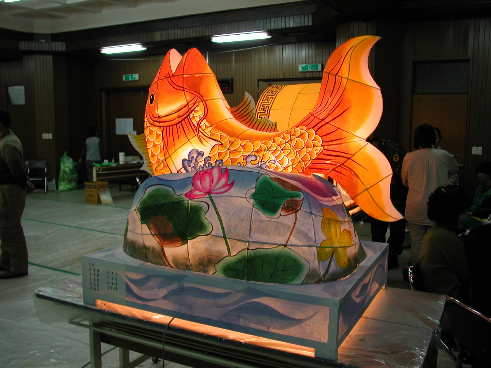 이번엔 잉어등임돠