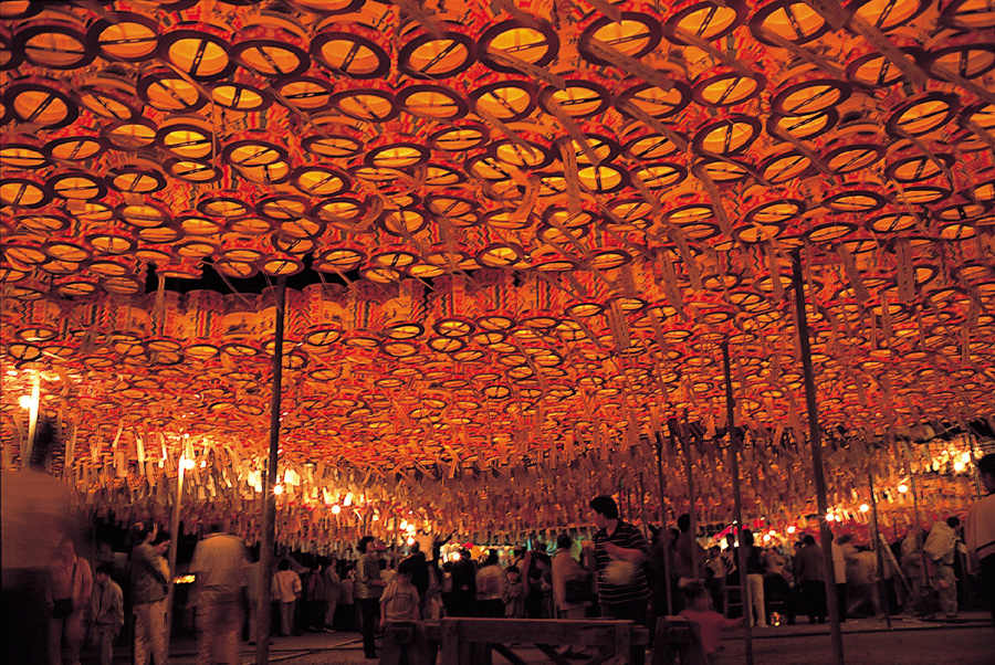 등으로 덮힌 마당