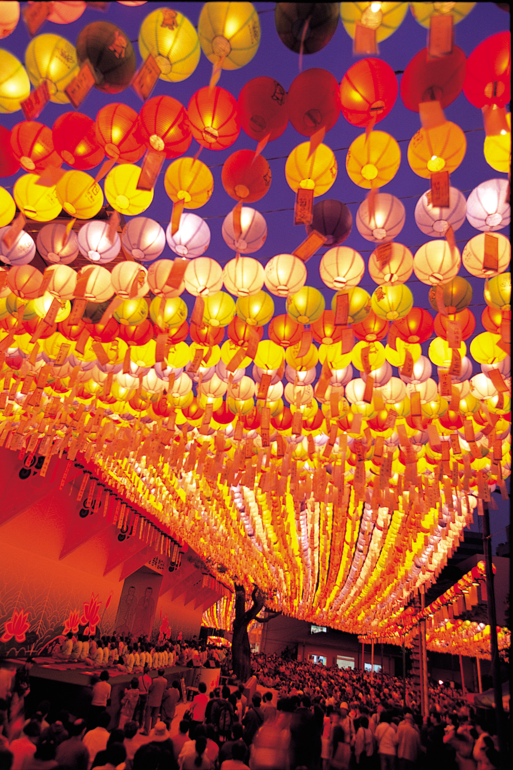 불기2548(2004) 부처님오신날 야경