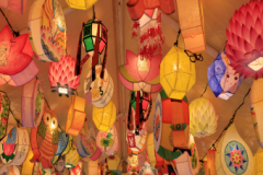 Exhibition of<br>Traditional Lanterns